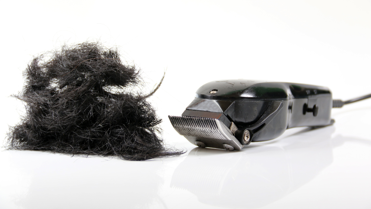 Tondeuse à cheveux noire professionnelle sur une surface blanche avec des cheveux noirs coupés - tondeuse de barbier haut de gamme pour des coupes de cheveux précises.